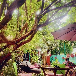 hostel vague